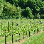 Podere Fontecastello