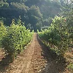 Podere Fontecastello Montepulciano Stazione