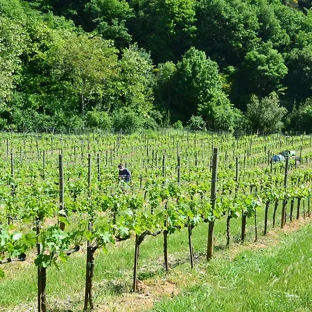 Podere Fontecastello