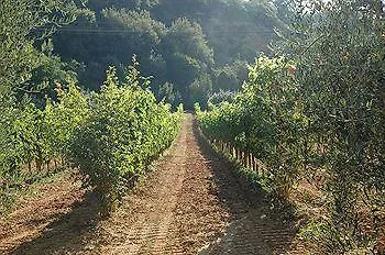 Podere Fontecastello Montepulciano